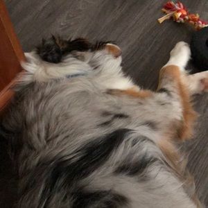 Meet your Posher, Jacqueline